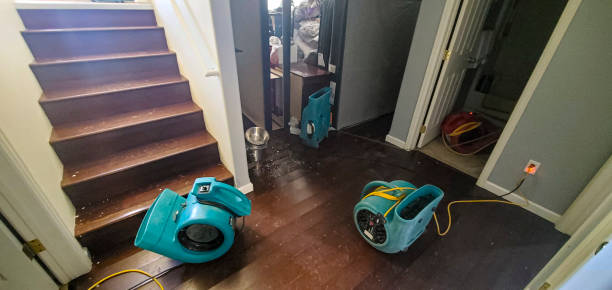 Best Water damage restoration cost  in East Stroudsburg, PA