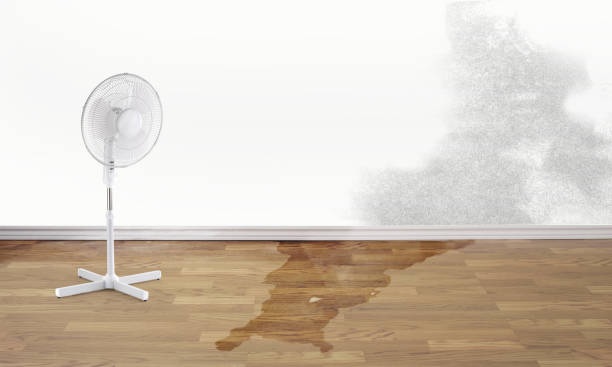 Best Basement water damage restoration  in East Stroudsburg, PA