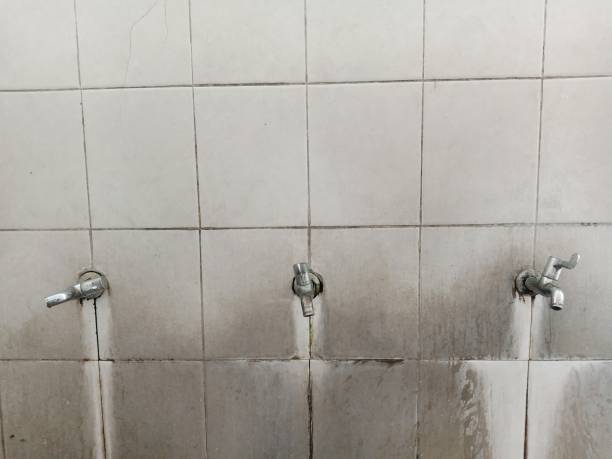 Best Flood damage cleanup  in East Stroudsburg, PA